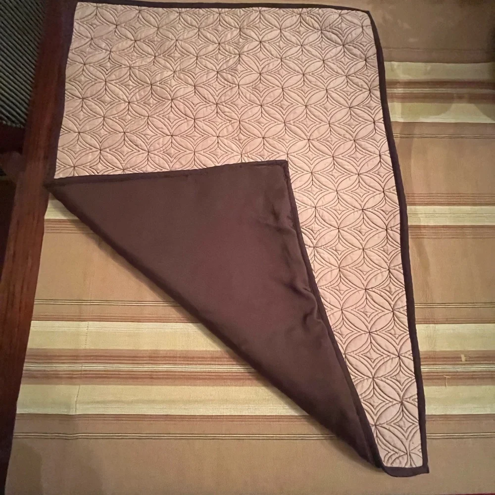 Restoration Hardware 100% Silk pillow sham